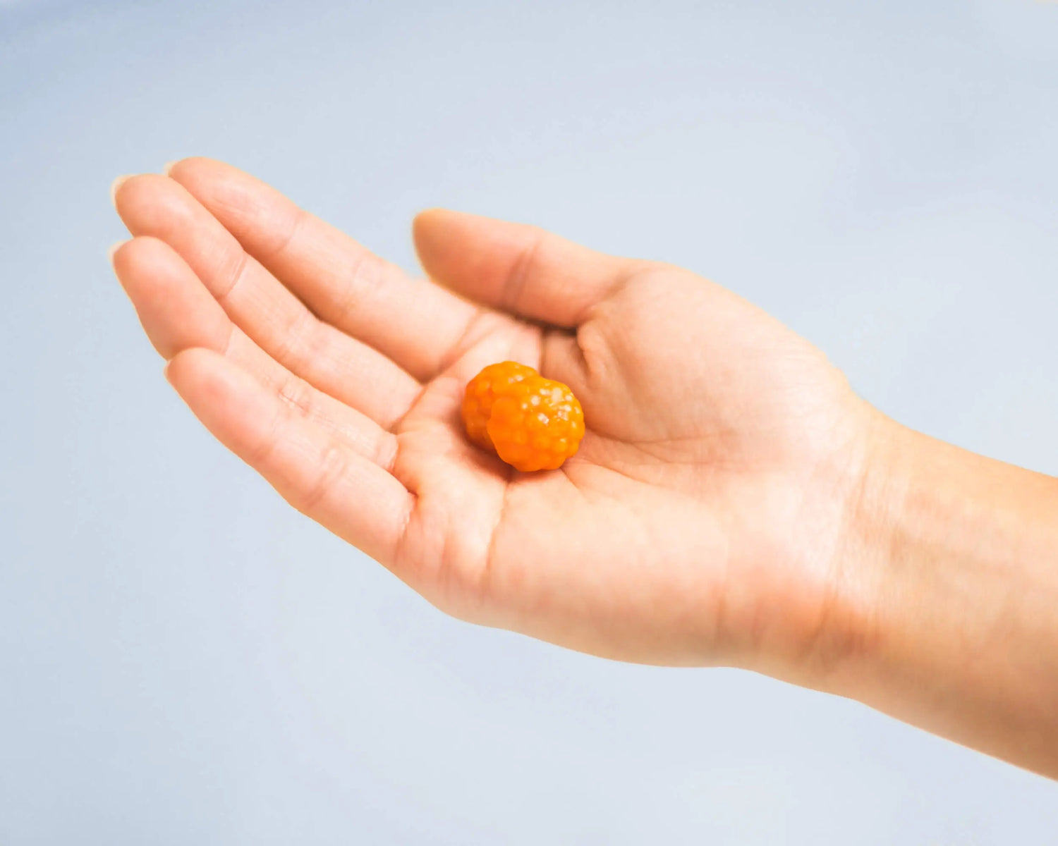 A close-up of an open hand holding a single orange berry, possibly a cloudberry, against a plain light blue background.