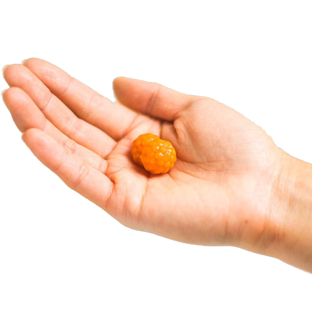 are multivitamin gummies good for you