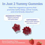 Two star-shaped red gummies—First Day Life Inc.'s Kids’ Nighttime Reset Magnesium Add-On—highlight restful sleep benefits from calming ingredients like magnesium citrate and Suntheanine. These strawberry gummies are free of artificial dyes and sweeteners.