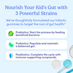 nourishes kid's gut health