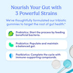Infographic titled “Nourish Your Gut with 3 Powerful Strains” highlights the digestive health benefits of Women's 3-in-1 Pre+ Post+ Probiotic gummies, featuring related icons and petri dishes on a light blue background.