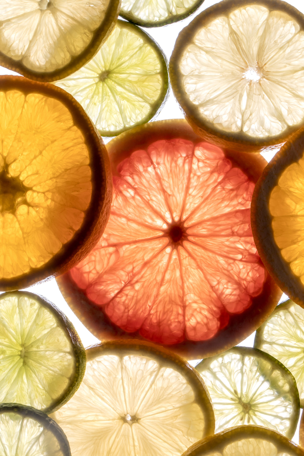 A close-up of various citrus fruit slices, including lemon, lime, orange, and grapefruit, arranged overlapping on a white background, showing their translucent, colorful flesh and detailed textures.