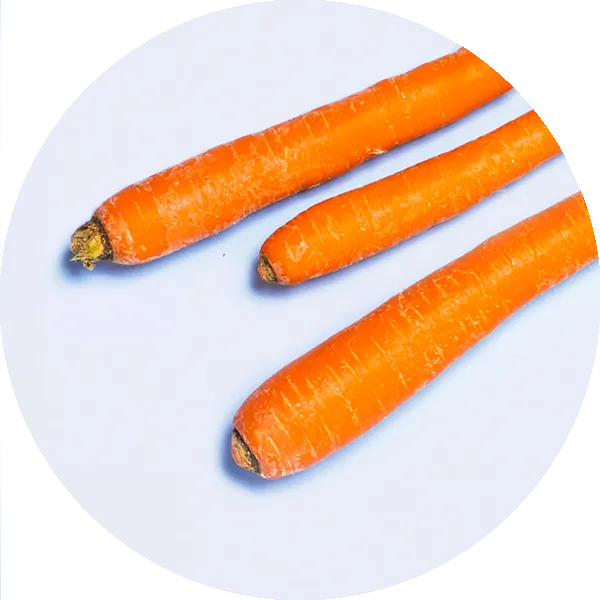 Three fresh, whole carrots with orange skin and rough tops are arranged diagonally on a white background.