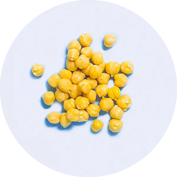 A small pile of yellow chickpeas is scattered on a plain white background.