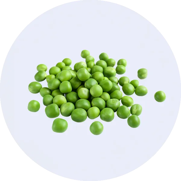 A pile of fresh green peas scattered on a plain white background.