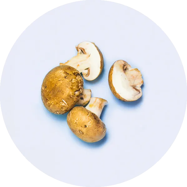 Three whole cremini mushrooms and one sliced mushroom are arranged on a light blue background.