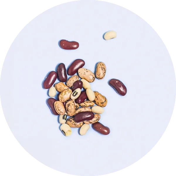 A small pile of assorted beans, including red kidney beans, pinto beans, and black-eyed peas, scattered on a white background.