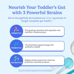 An informational graphic for toddler gut health gummies. The light blue background features the headline 'Nourish Your Toddler's Gut with 3 Powerful Strains' in dark blue text.